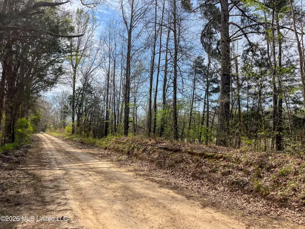 $55,000 | Simpson Road, Pickens, MS 39146