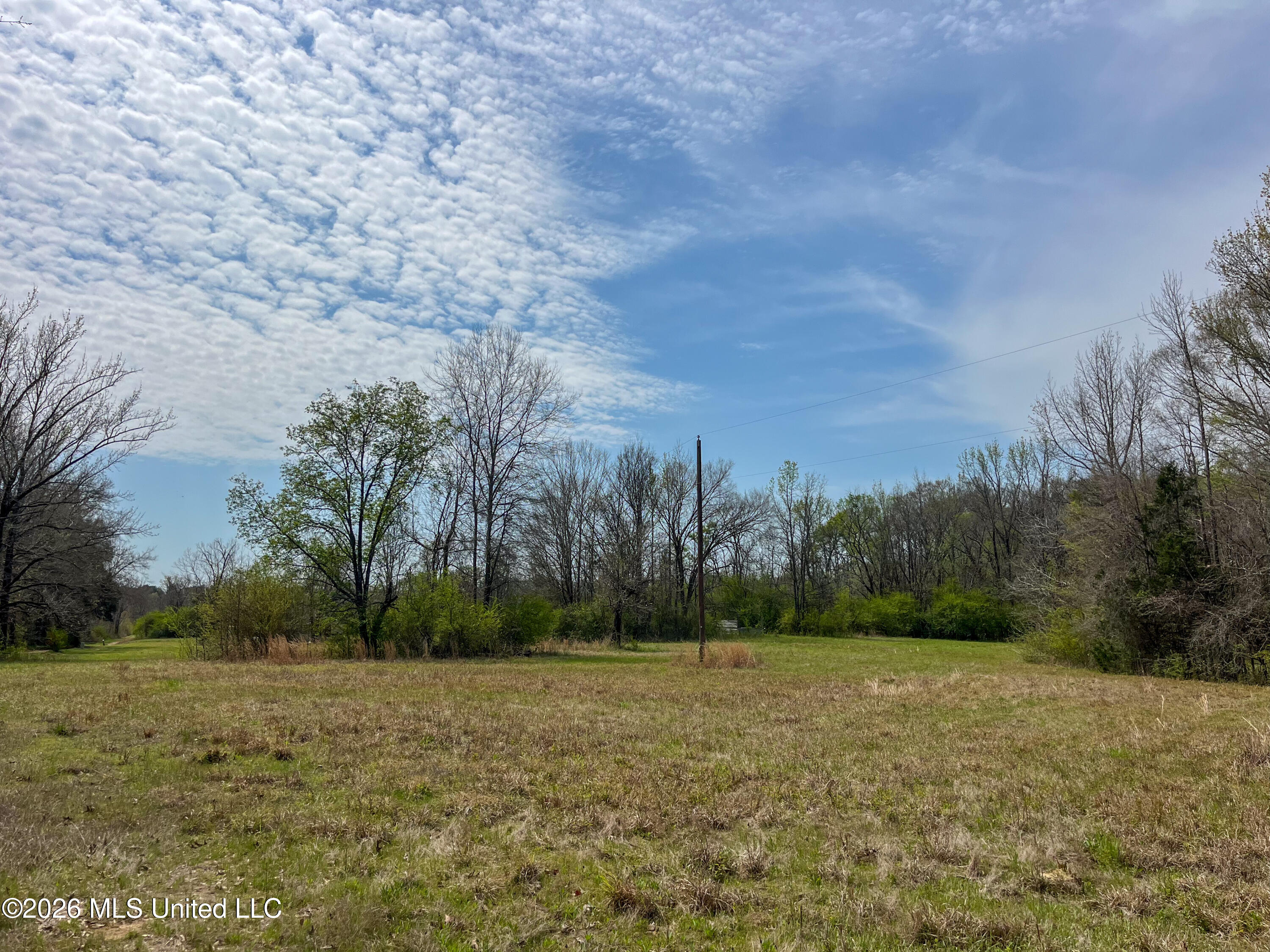 Simpson Road Pickens, MS 39146 - Photo 10 of 30 7EB8D516-9FE5-4AA6-8F91-C399529964DD