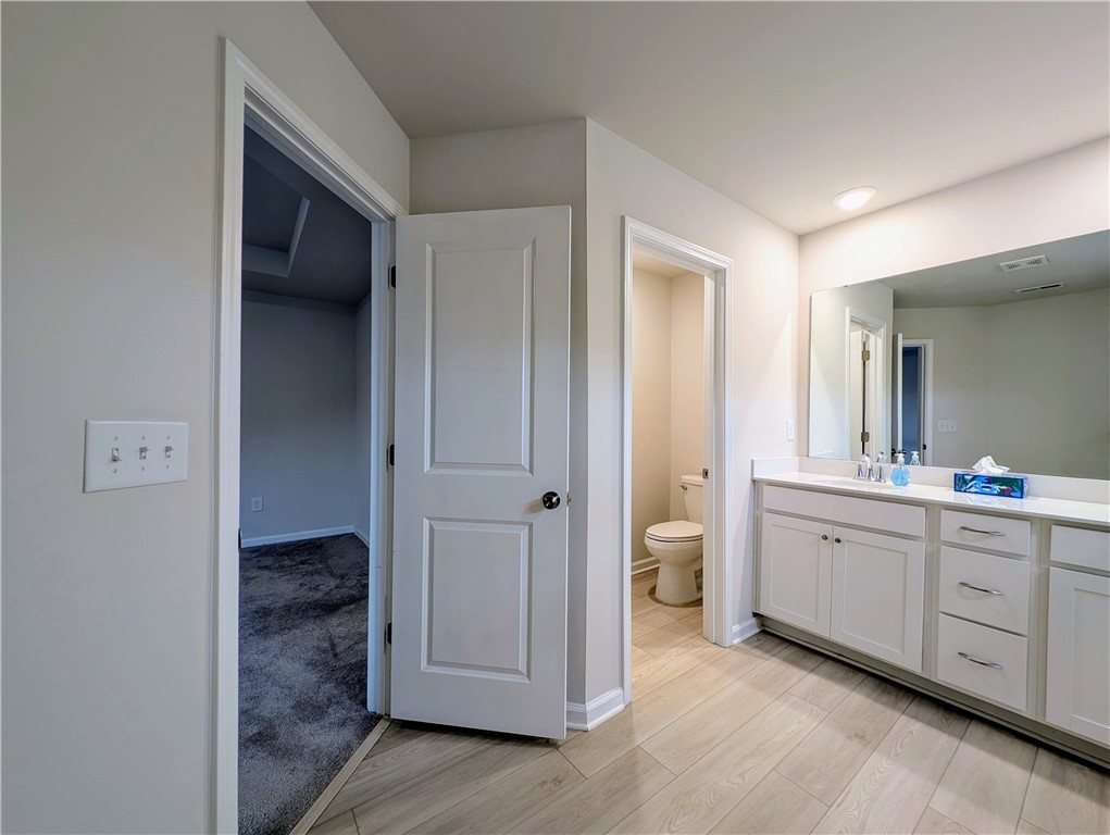 445 Bee Cove Way Pendleton, SC 29670 - Photo 13 of 26 Master Bathroom