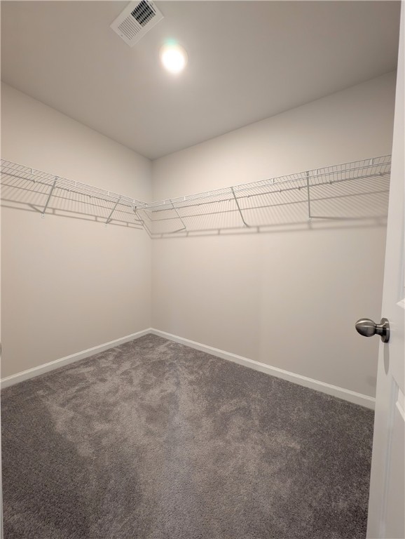 445 Bee Cove Way Pendleton, SC 29670 - Photo 16 of 26 Master Walk-in Closet