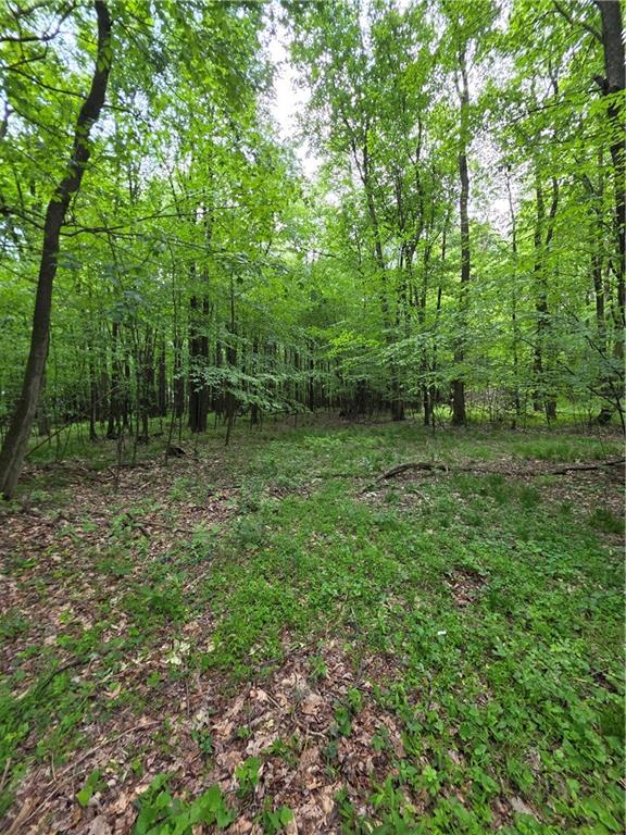 0 Silvis Road Homer City, PA 15748 - Photo 9 of 13