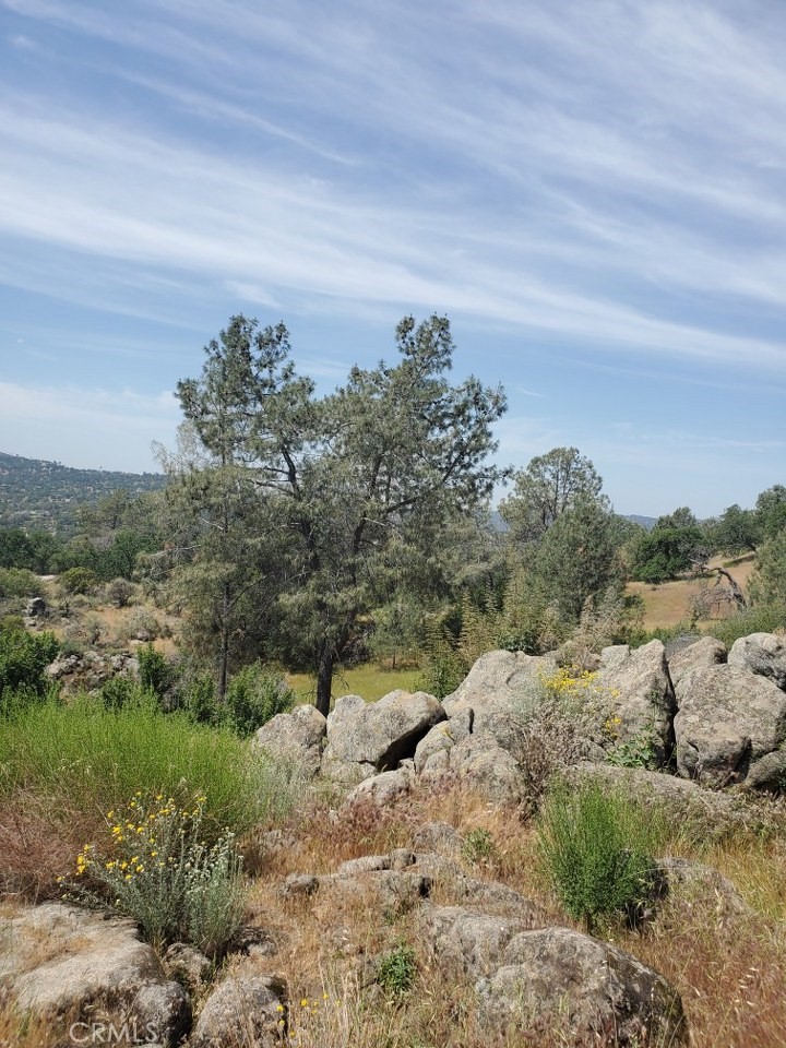 1952 Ranger Circle Drive Coarsegold, CA 93614 - Photo 16 of 17