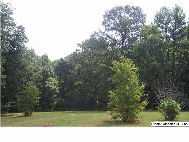 6897 G & H Road Bessemer, AL 35022 - Photo 5 of 5