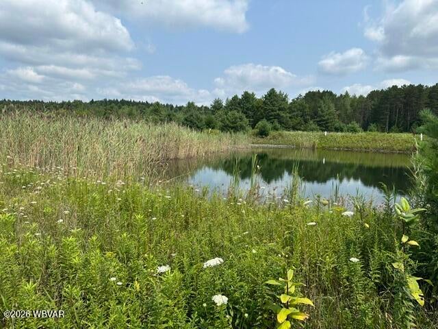 Iron Gate Road Beech Creek, PA 16822 - Photo 6 of 20 Gallery Image 6