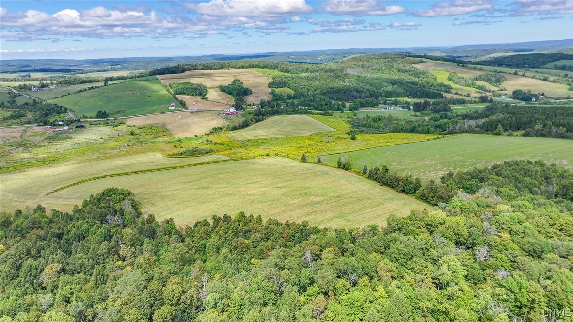 4284 South Lebanon Road Earlville, NY 13332 - Photo 11 of 33