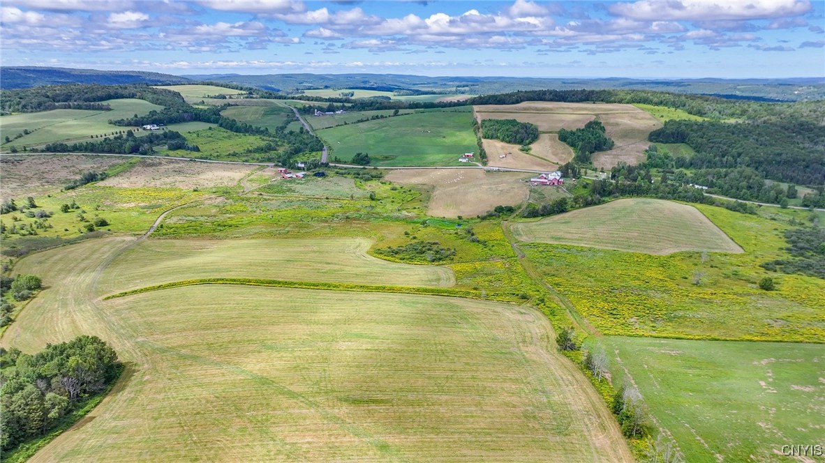 4284 South Lebanon Road Earlville, NY 13332 - Photo 12 of 33