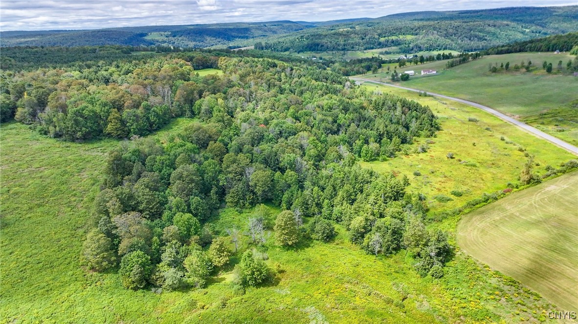 4284 South Lebanon Road Earlville, NY 13332 - Photo 25 of 33