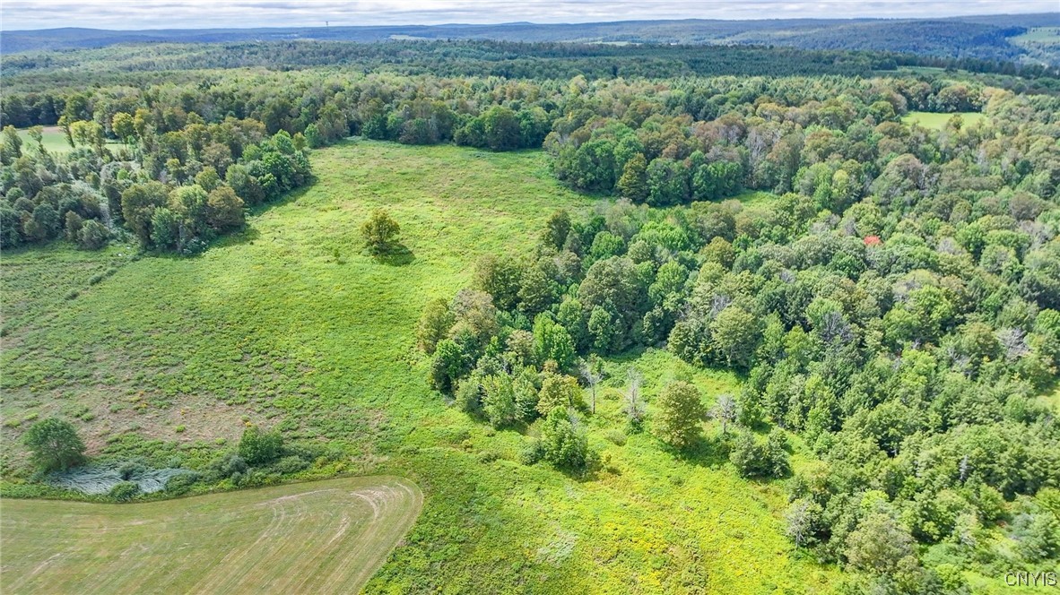 4284 South Lebanon Road Earlville, NY 13332 - Photo 26 of 33