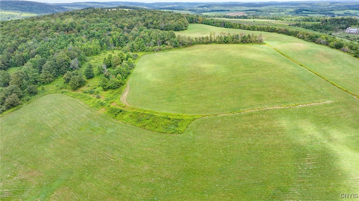 4284 South Lebanon Road Earlville, NY 13332 - Photo 30 of 33