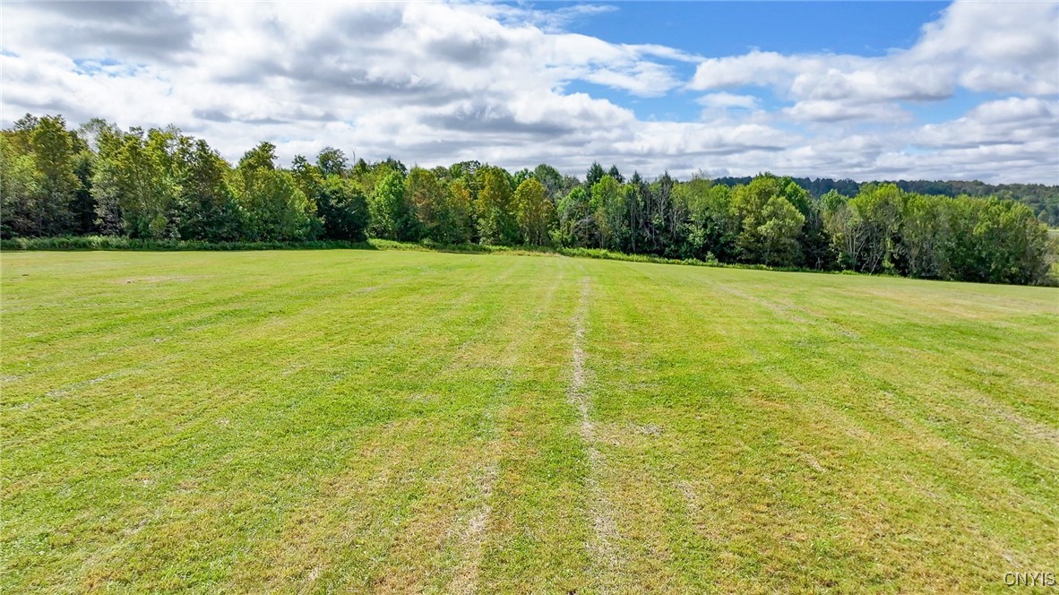 4284 South Lebanon Road Earlville, NY 13332 - Photo 6 of 33