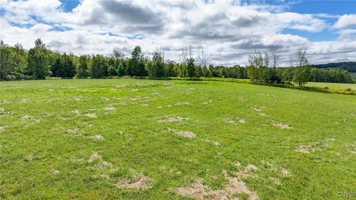 4284 South Lebanon Road Earlville, NY 13332 - Photo 7 of 33