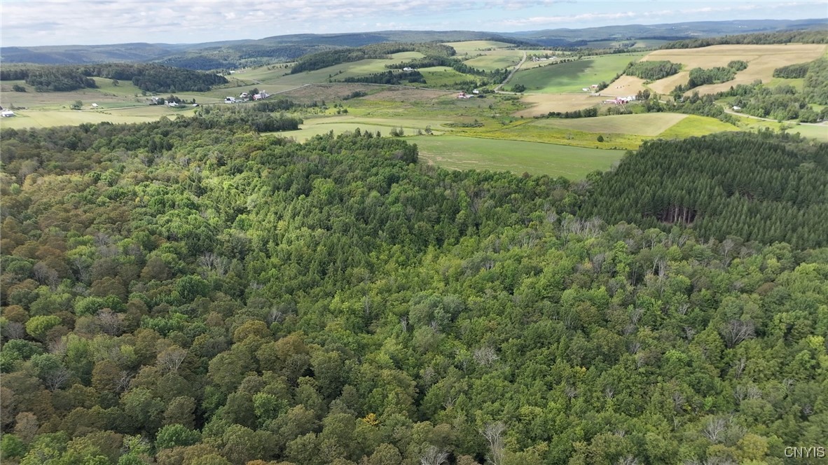 4284 South Lebanon Road Earlville, NY 13332 - Photo 8 of 33