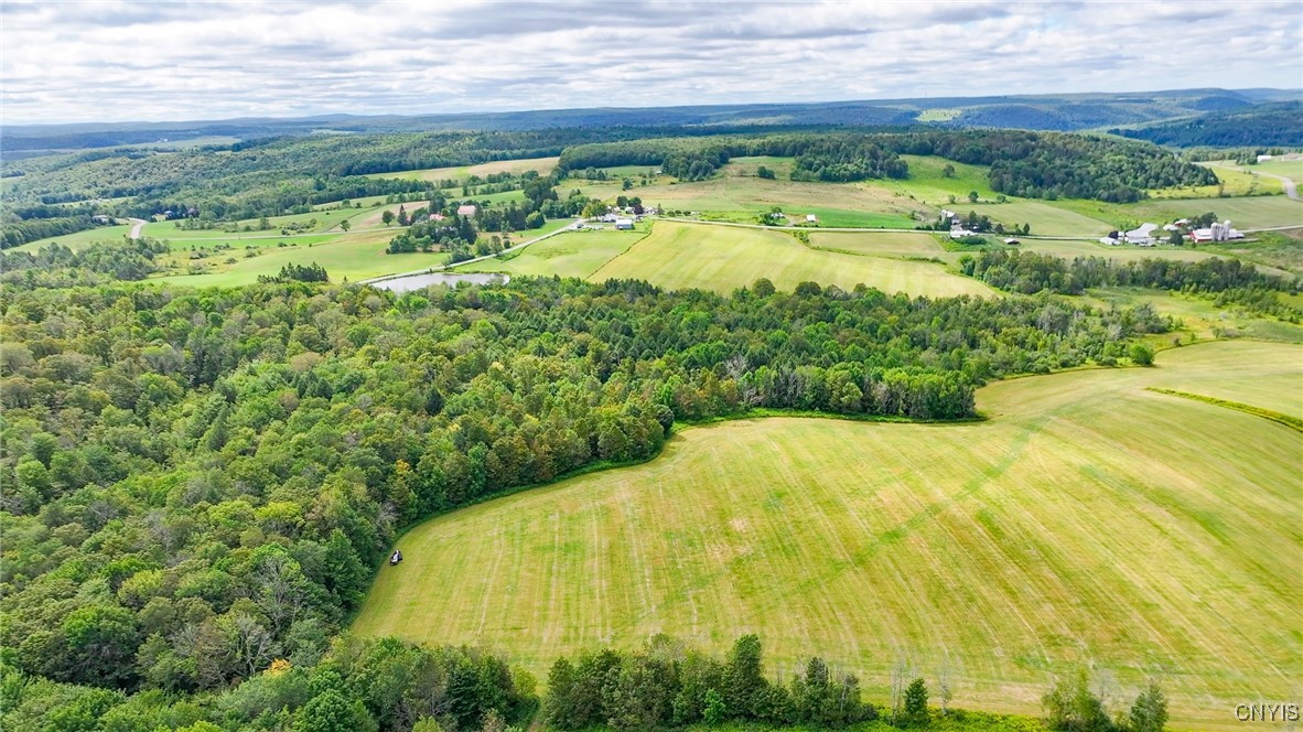 4284 South Lebanon Road Earlville, NY 13332 - Photo 9 of 33
