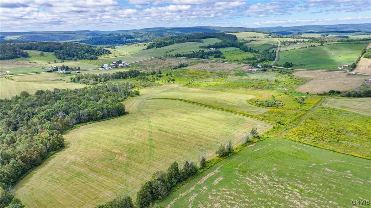 4284 South Lebanon Road Earlville, NY 13332 - Photo 10 of 33