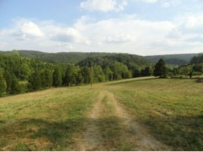 0 Luster Road Rogersville, TN 37857 - Photo 1 of 23 Photo 1