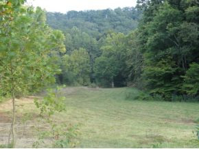 0 Luster Road Rogersville, TN 37857 - Photo 12 of 23 Photo 12