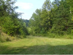 0 Luster Road Rogersville, TN 37857 - Photo 15 of 23 Photo 15