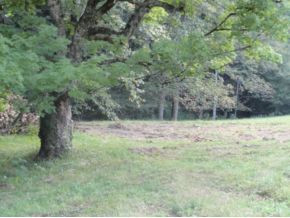 0 Luster Road Rogersville, TN 37857 - Photo 16 of 23 Photo 16