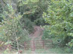 0 Luster Road Rogersville, TN 37857 - Photo 17 of 23 Photo 17
