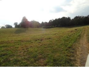 0 Luster Road Rogersville, TN 37857 - Photo 23 of 23 Photo 24