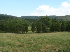 0 Luster Road Rogersville, TN 37857 - Photo 3 of 23 Photo 3