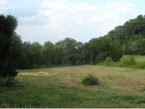 0 Luster Road Rogersville, TN 37857 - Photo 5 of 23 Photo 5