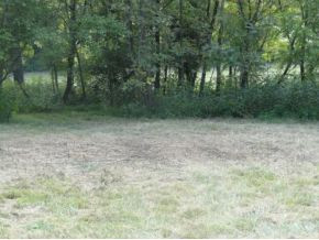0 Luster Road Rogersville, TN 37857 - Photo 8 of 23 Photo 8