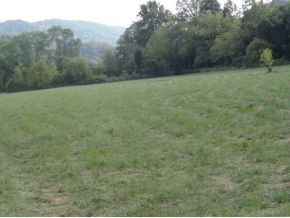 0 Luster Road Rogersville, TN 37857 - Photo 9 of 23 Photo 9