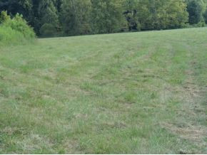 0 Luster Road Rogersville, TN 37857 - Photo 10 of 23 Photo 10