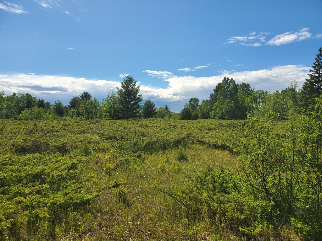 Lot 11 Timberline Road Ellison Bay, WI 54210 - Photo 4 of 6