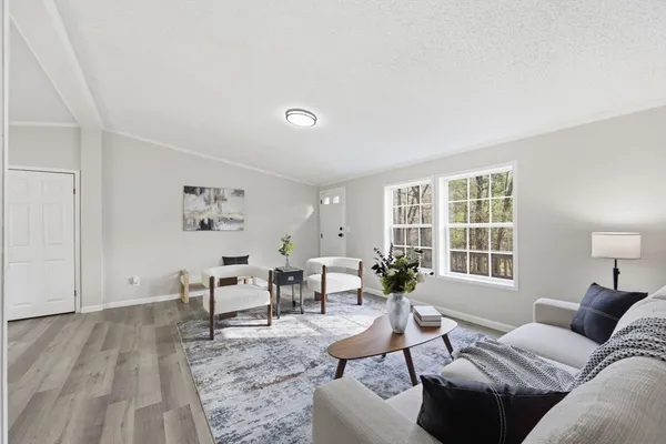 a living room with furniture flowerpot and a potted plant