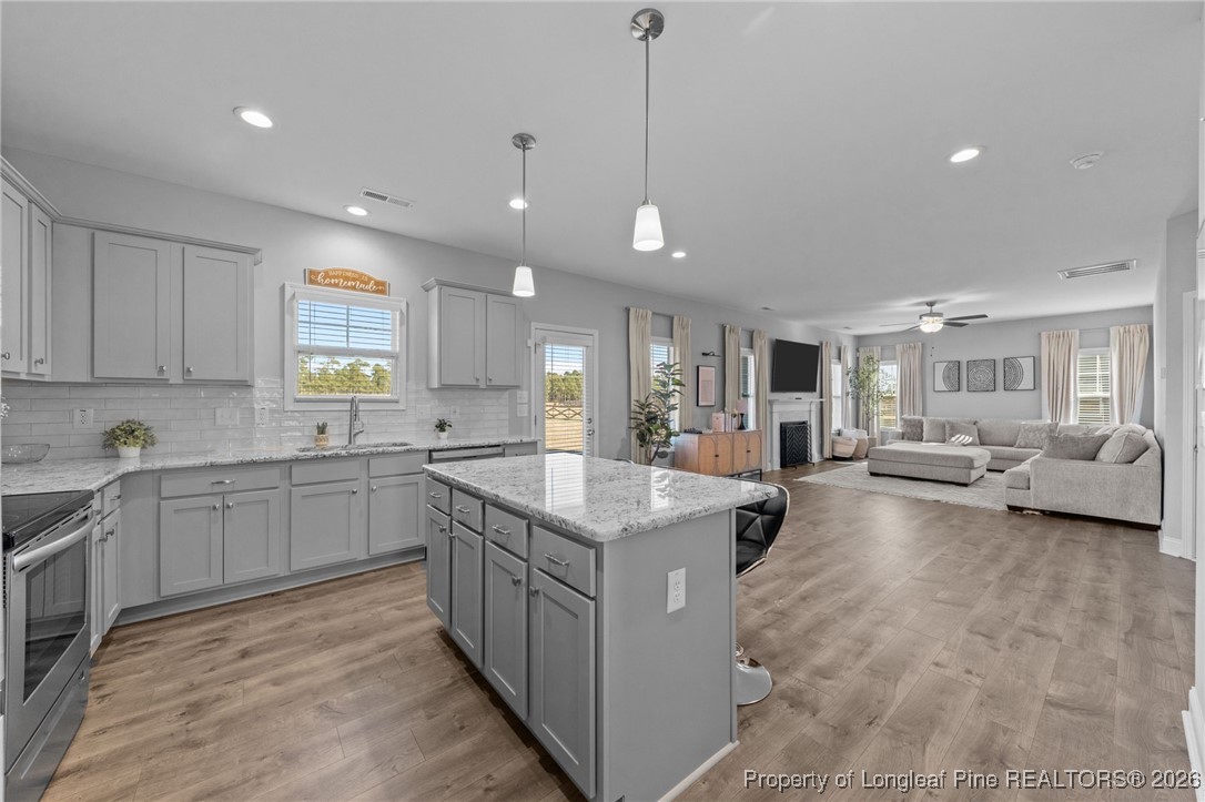 298 Turkey Trot Lane Raeford, NC 28376 - Photo 10 of 43 a kitchen with counter top space and windows