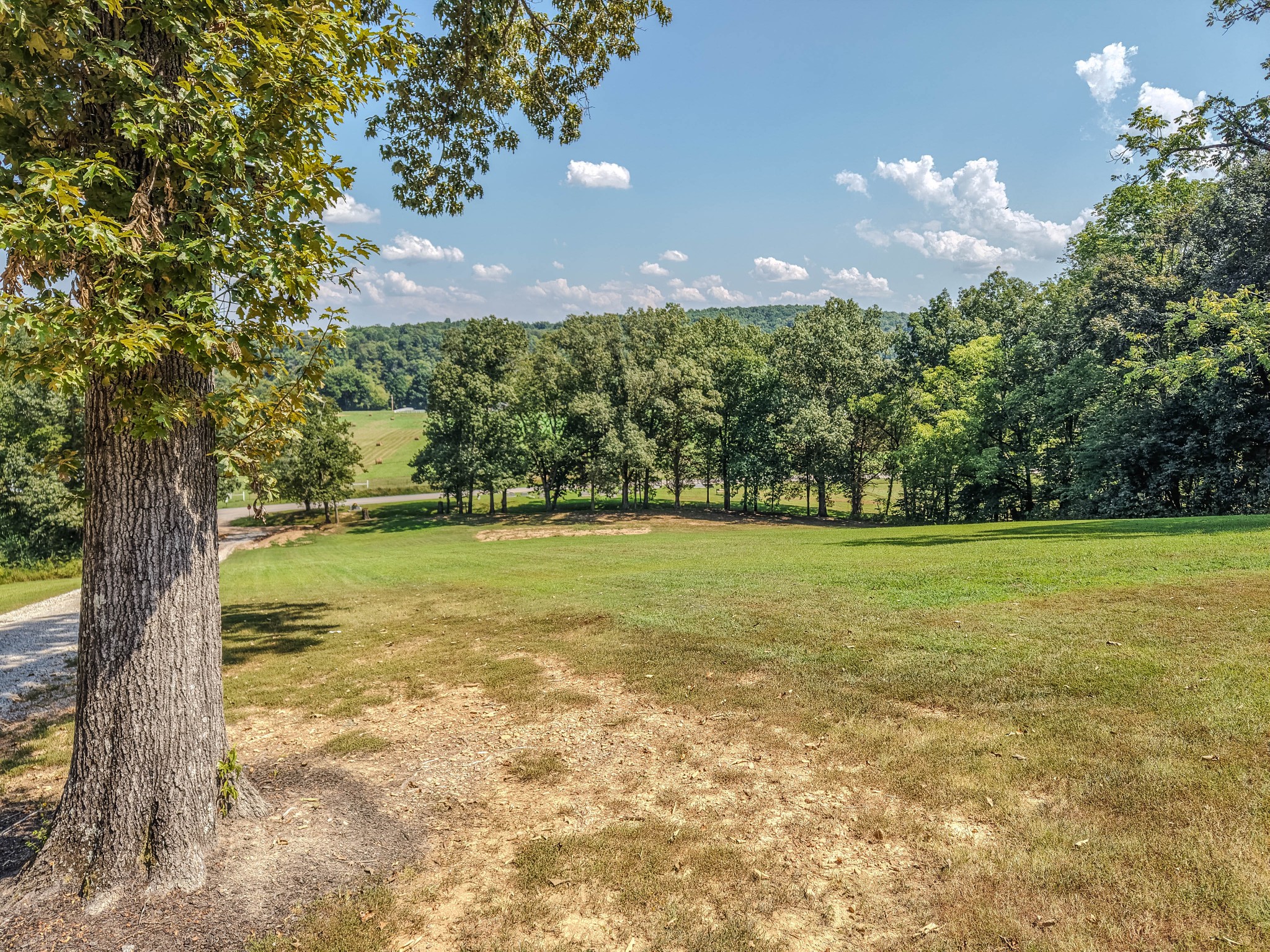 304 Salem Road Centerville, TN 37033 - Photo 35 of 68 Gallery Image 35