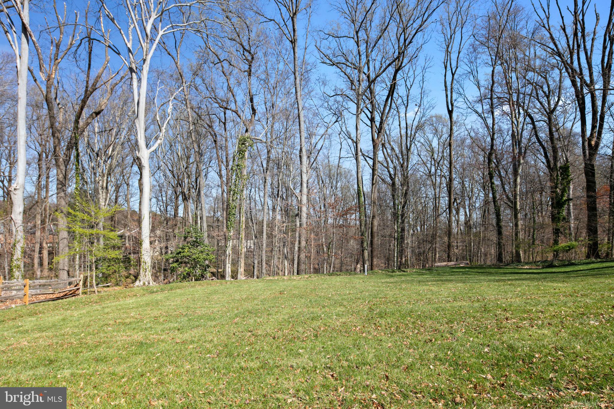 6908 Cherry Lane Annandale, VA 22003 - Photo 101 of 118 Rear Yard