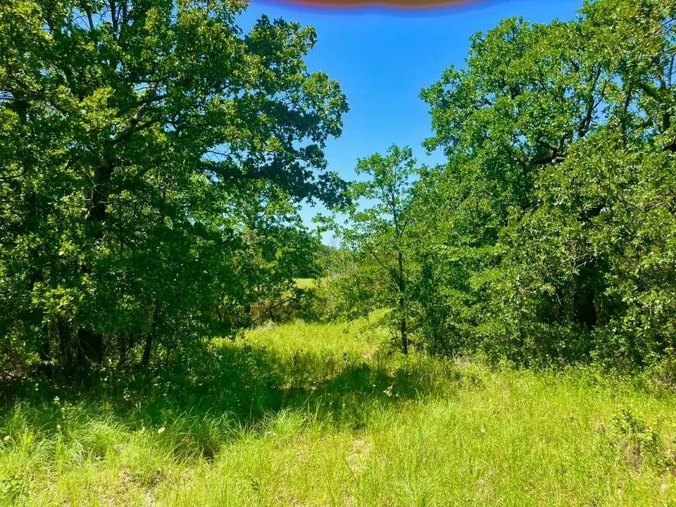 Lot 34 Galway Road Poolville, TX 76487 - Photo 2 of 4 View of landscape