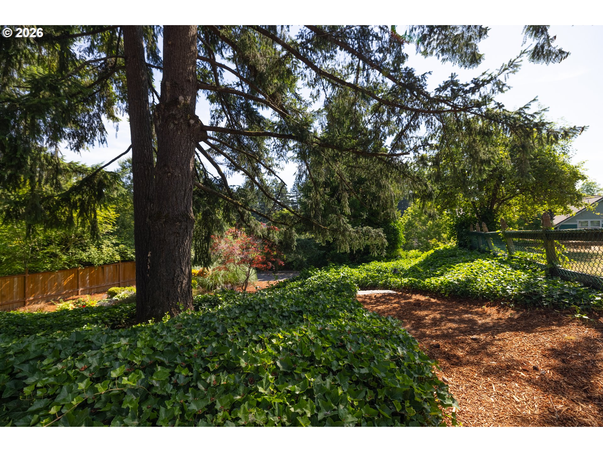 14550 Southwest 130th Avenue Portland, OR 97224 - Photo 32 of 43 Yard