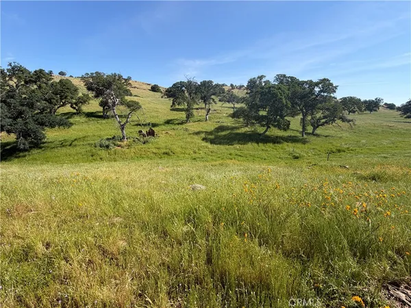 $1,495,000 | 1991 Highway 140, Catheys Valley, CA 95333