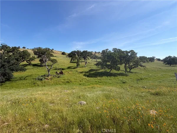 $1,495,000 | 1991 Highway 140, Catheys Valley, CA 95333