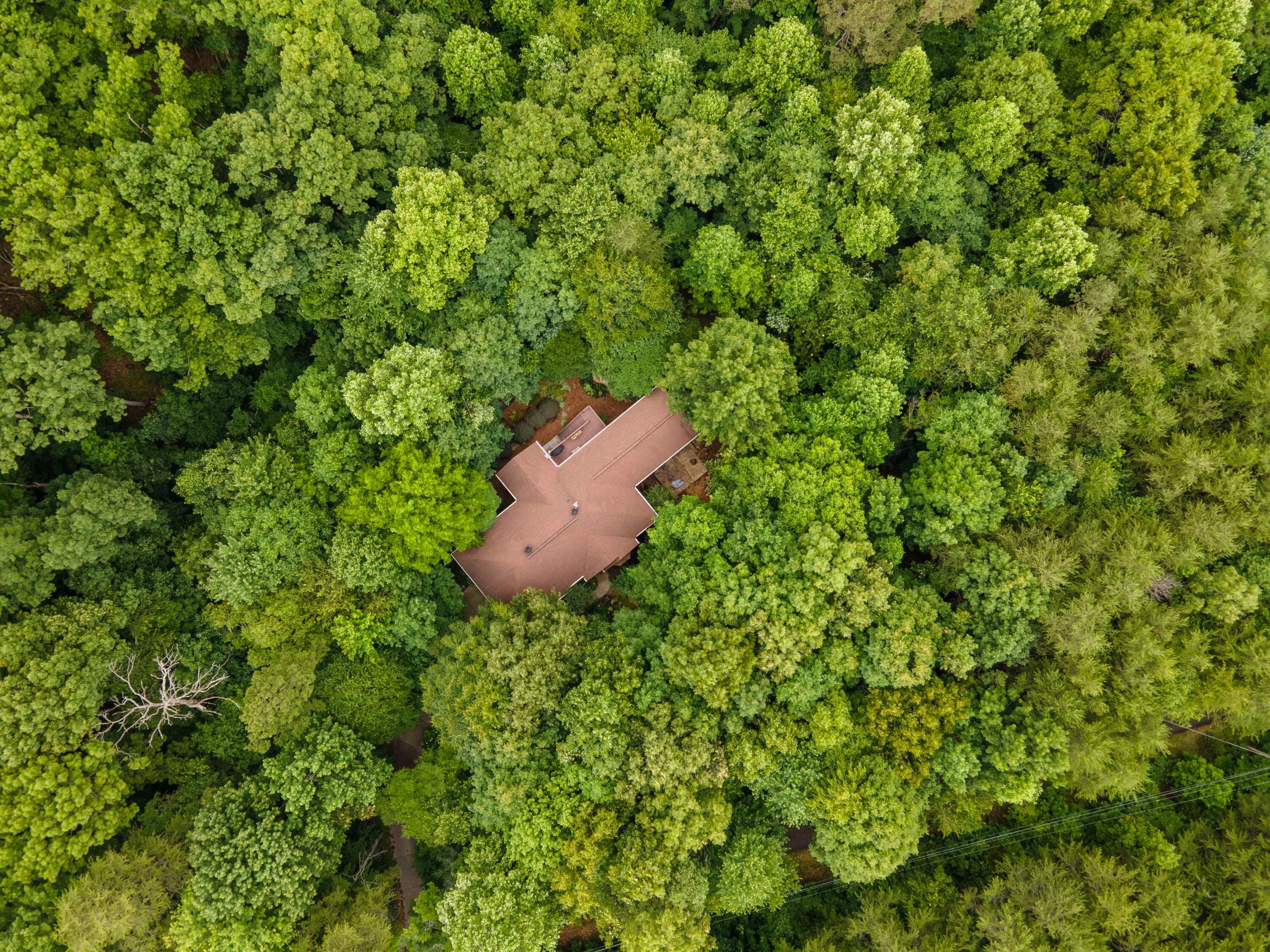 12451 Early Road Knoxville, TN 37922 - Photo 11 of 39 DJI_0095