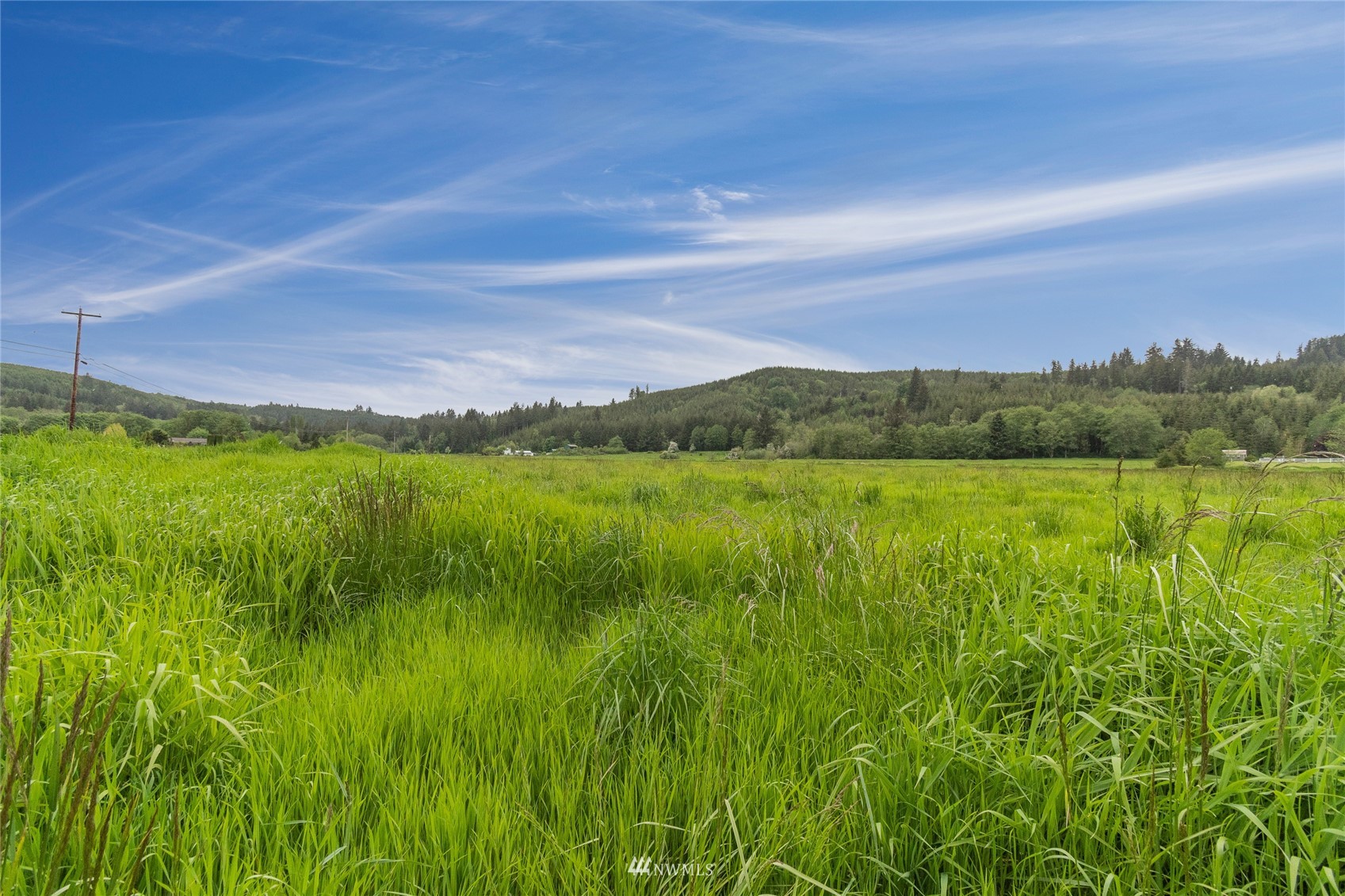 655 Elochoman Valley Road Cathlamet, WA 98612 - Photo 4 of 13 Gallery Image 4