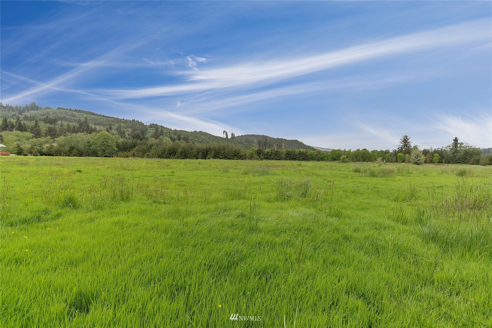 655 Elochoman Valley Road Cathlamet, WA 98612 - Photo 7 of 13 Gallery Image 7