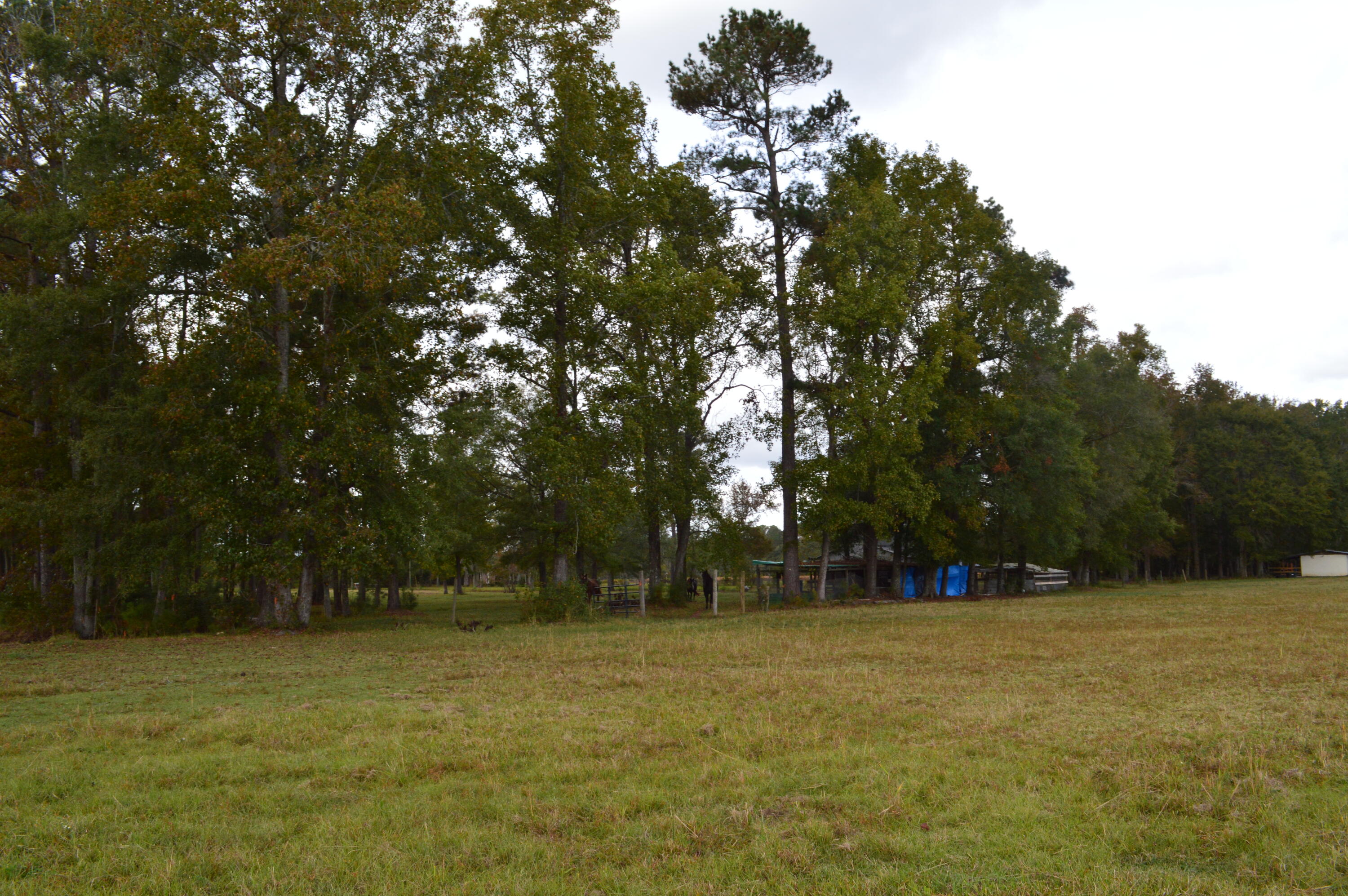 114 Van L Road Kingstree, SC 29556 - Photo 22 of 201 DSC_0043