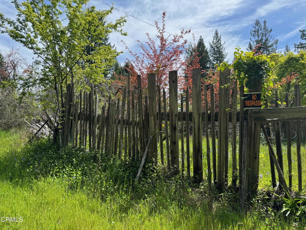 a view of a garden with plants and a bench