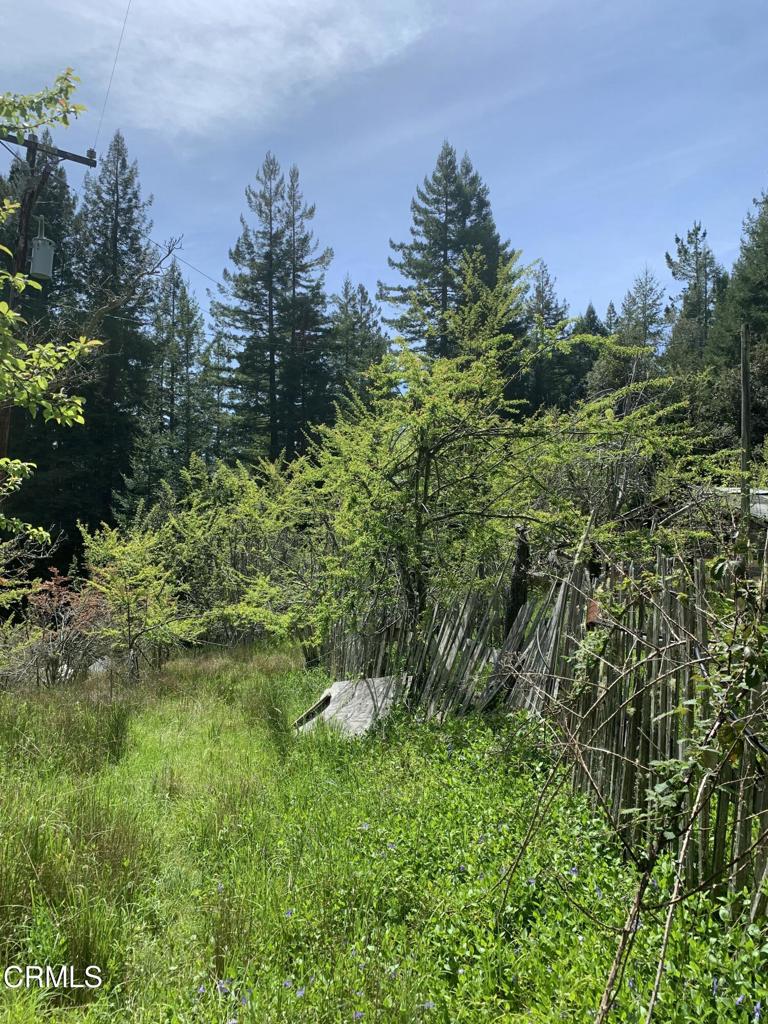 23501 Branscomb Road Westport, CA 95488 - Photo 14 of 41 a view of a lush green space
