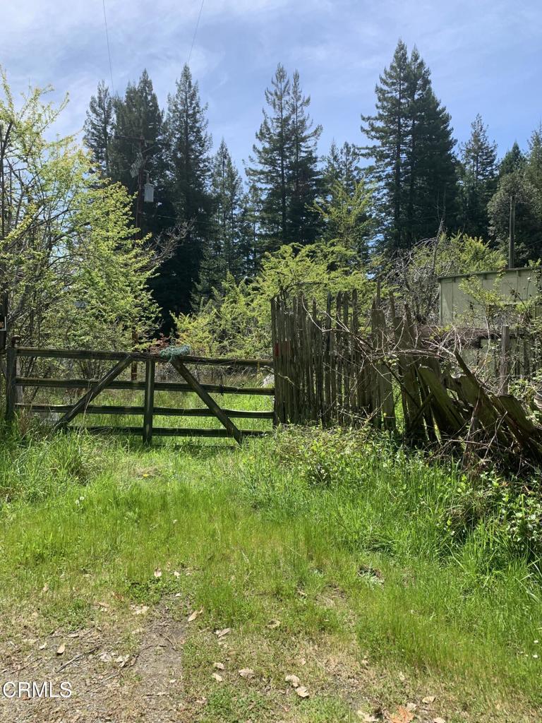 23501 Branscomb Road Westport, CA 95488 - Photo 2 of 41 a view of backyard with green space