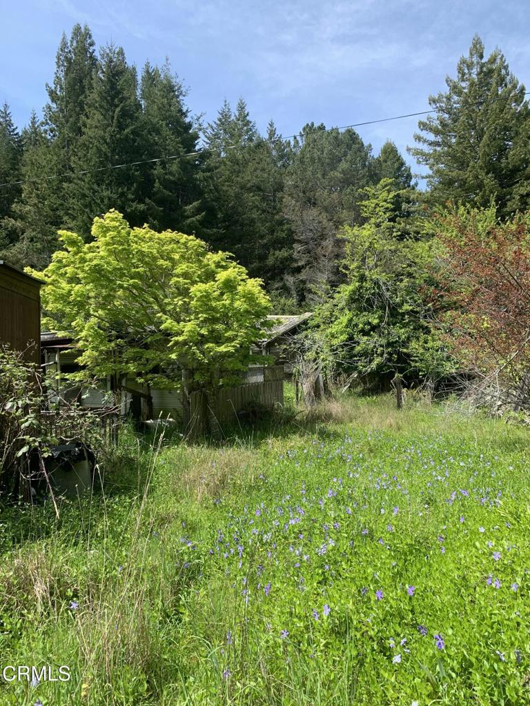 23501 Branscomb Road Westport, CA 95488 - Photo 3 of 41 a view of a garden