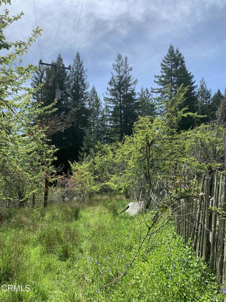 23501 Branscomb Road Westport, CA 95488 - Photo 4 of 41 a view of a lush green space