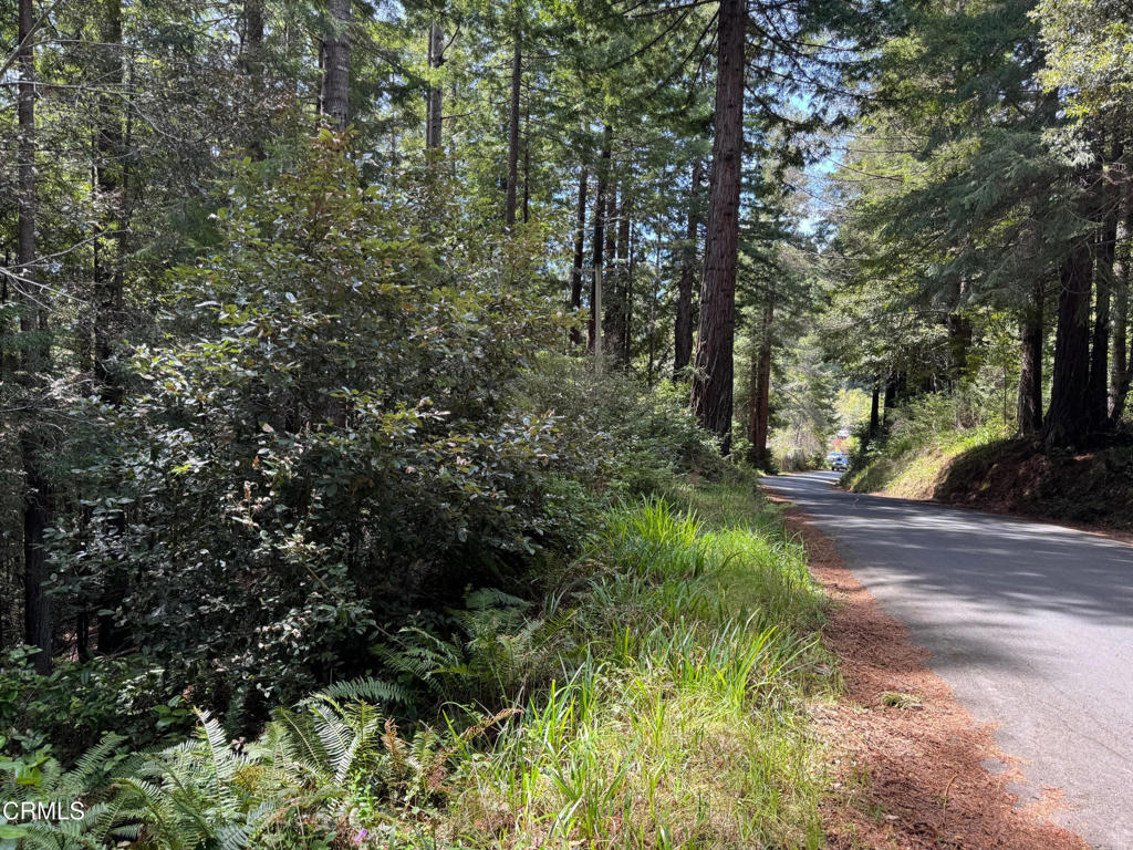 23501 Branscomb Road Westport, CA 95488 - Photo 41 of 41 a view of a forest with trees