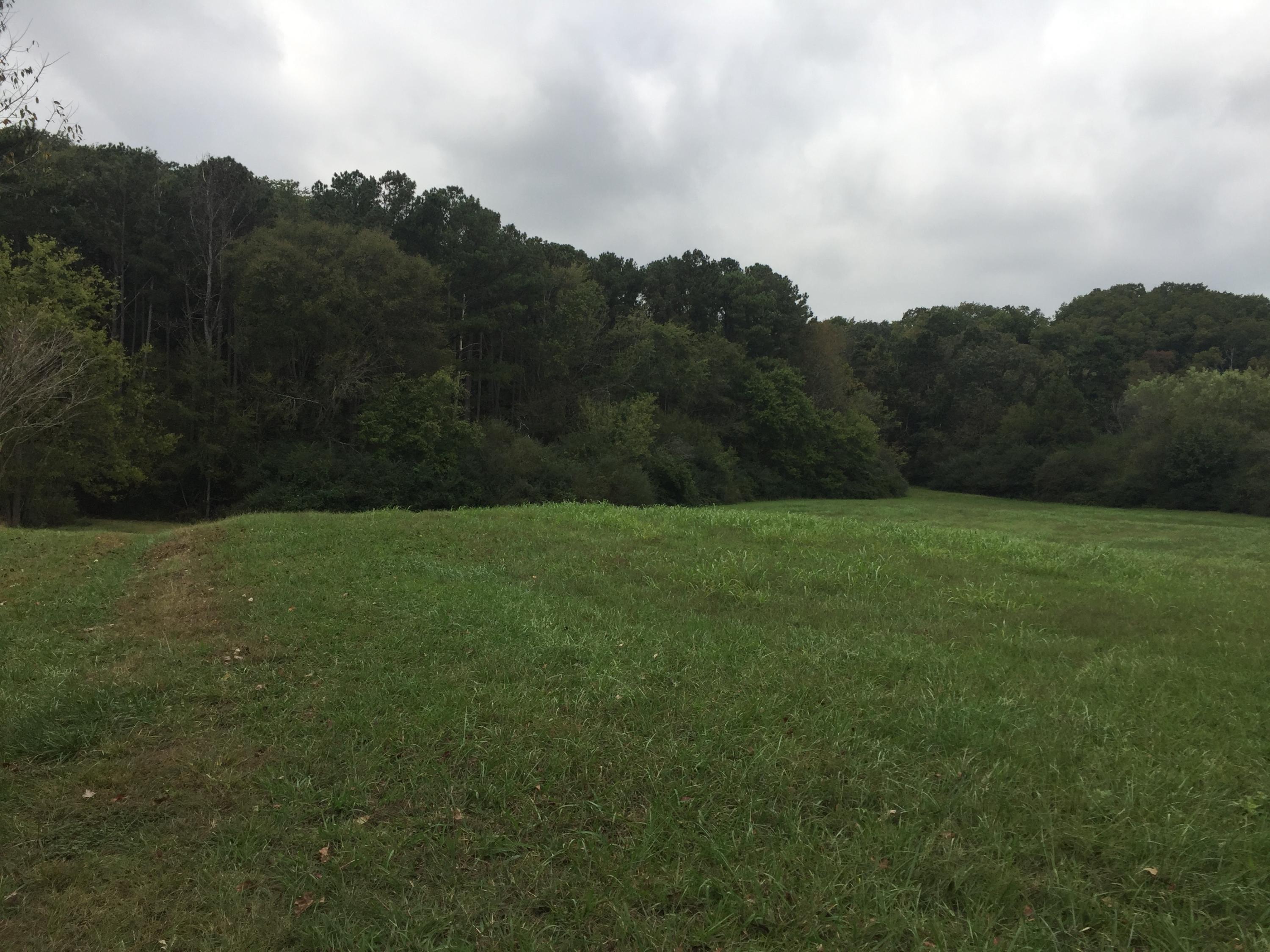 7348 Blue Springs Road Cleveland, TN 37311 - Photo 1 of 3 IMG_6581