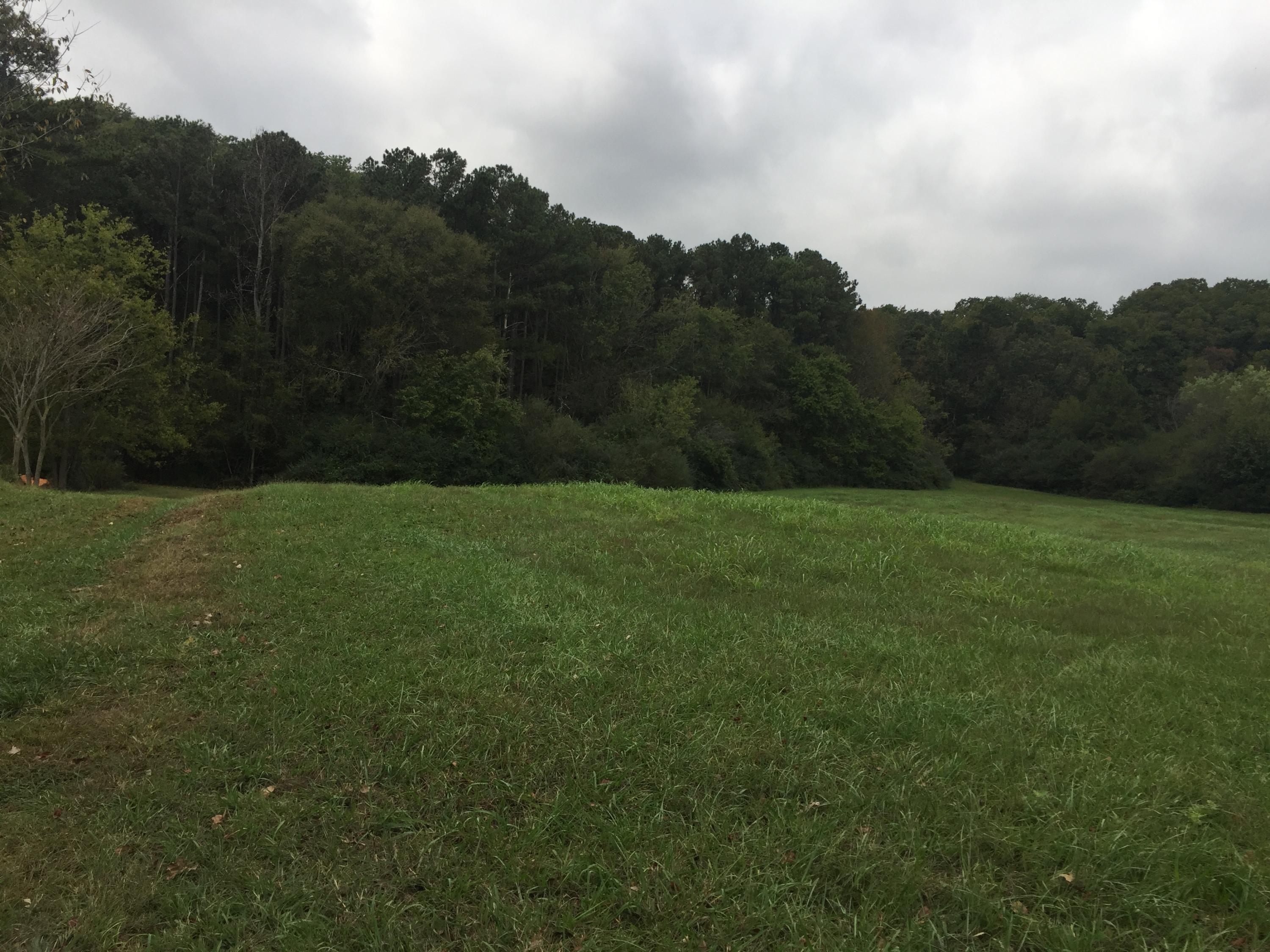 7348 Blue Springs Road Cleveland, TN 37311 - Photo 3 of 3 IMG_6583